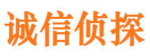 金凤寻人公司